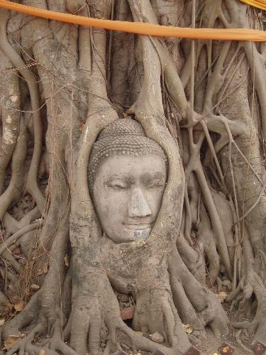 The_most_photographed_Budda_at_Ayuthaya-Ayuthaya