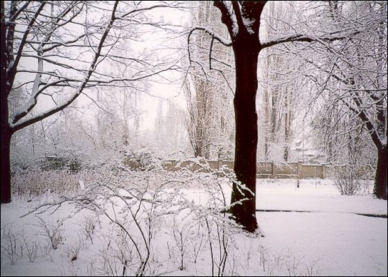 http://www.andreawitte.de/fotos/Winter.jpg