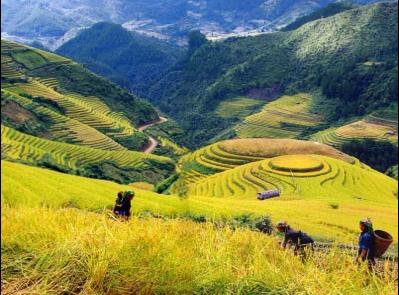 Tăng cường tài chính phát triển nông thôn Việt Nam. (Ảnh: VNN)