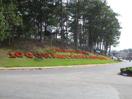 dalathoa_08.jpg