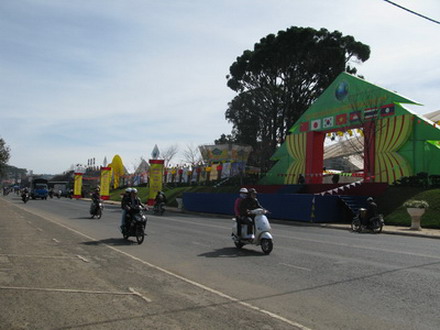 dalathoa_05.jpg