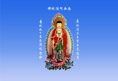 http://www.giacngo.vn/UserImages/2010/01/06/1/dida%201.jpg