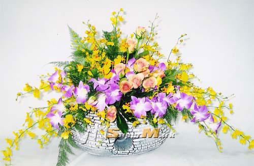 http://flower.vnsupermark.com/files/imagecache/500x/products/4TSHT-080-300.jpg