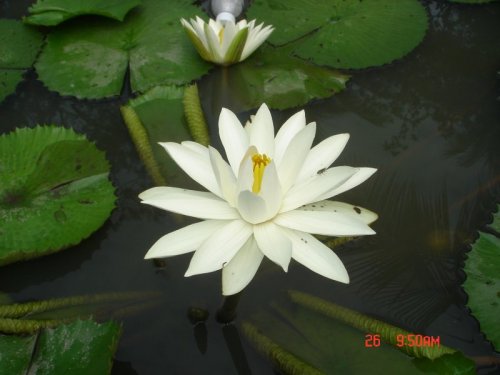 http://img.photo.zing.vn/file_uploads/gallery/w642h/2007/09/02/118870302214.jpg
